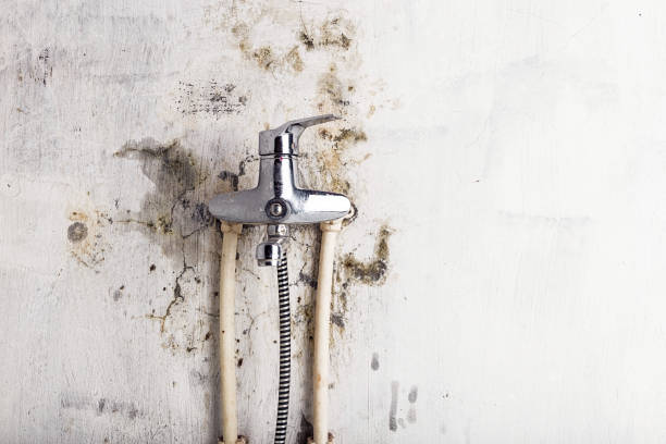 Best Residential Mold Remediation in Batesville, MS