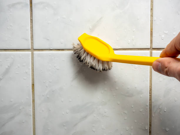 Best Preventive Mold Services in Batesville, MS